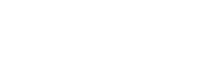 Dixie Cattle logo